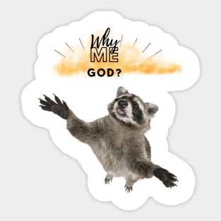 WHY ME GOD RACCOON Sticker